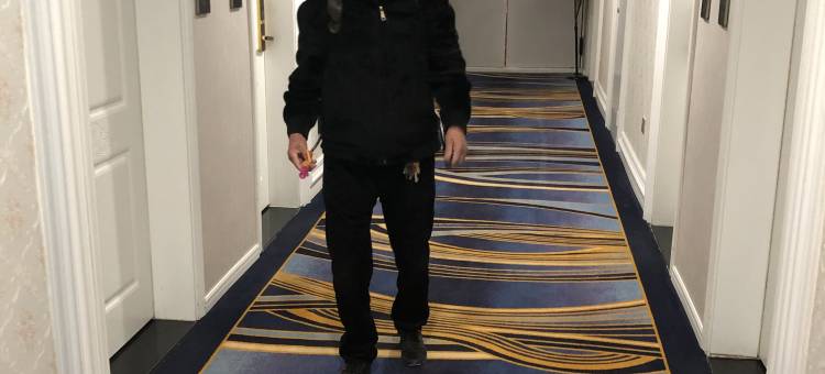 庆城蔓瑞大酒店图片