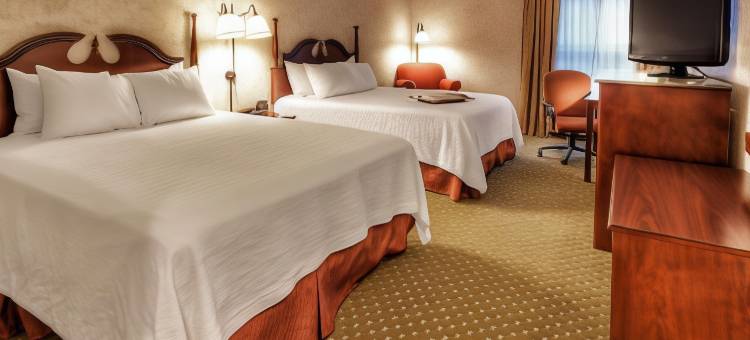 希尔顿欢朋酒店-马里昂(Hampton Inn Marion)图片