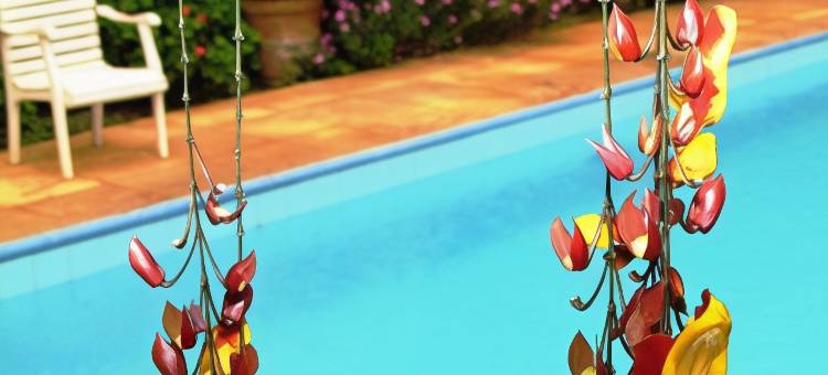 阿尔卑斯酒店(Alpes Hotel)图片