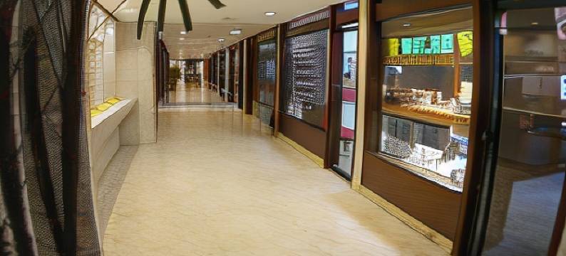 加拉加斯尤罗比尔丁套房酒店(Eurobuilding Hotel & Suites Caracas)图片