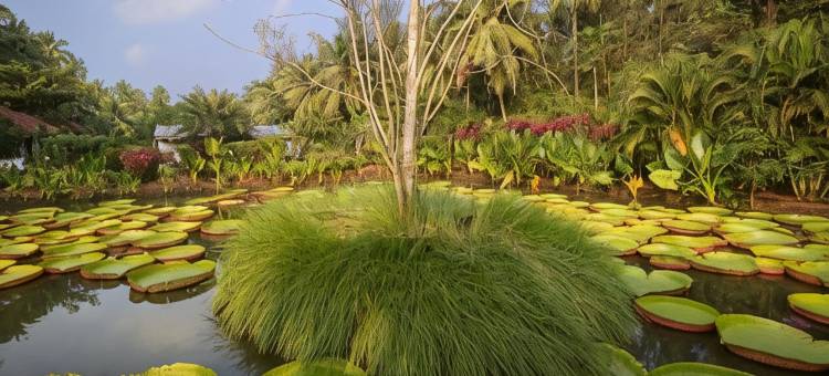 Dindi Rvr, A Club Mahindra Associate Resort图片