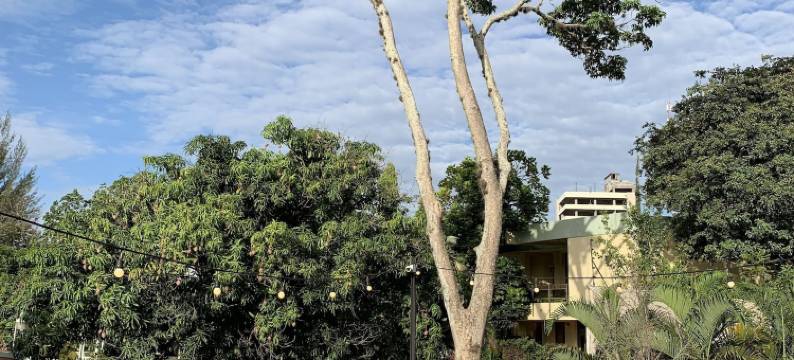 帕尔米拉旅馆(Palmira Hostel)图片