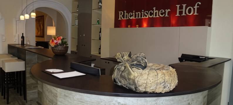 莱茵尼斯彻霍夫拜德索登酒店(Hotel Rheinischer Hof Bad Soden)图片