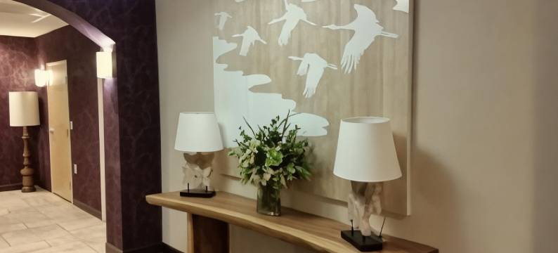 埃尔金斯蔚景温德姆酒店(Wingate by Wyndham Elkins)图片