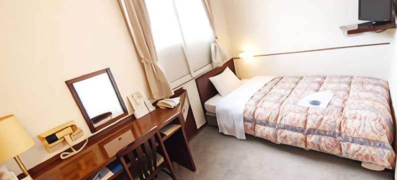 延岡第一旅馆(Nobeoka Dai-Ichi Hotel)图片