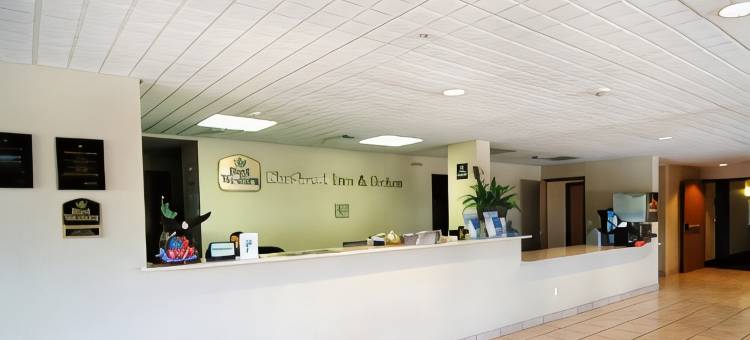 品质酒店套房圣安东尼奥布鲁克斯市基地(Quality Suites San Antonio Brooks City Base)图片
