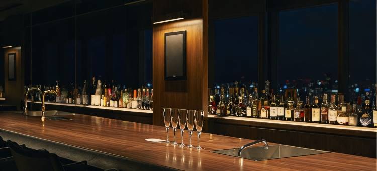 ART 大阪湾酒店(Art Hotel Osaka Bay Tower)图片