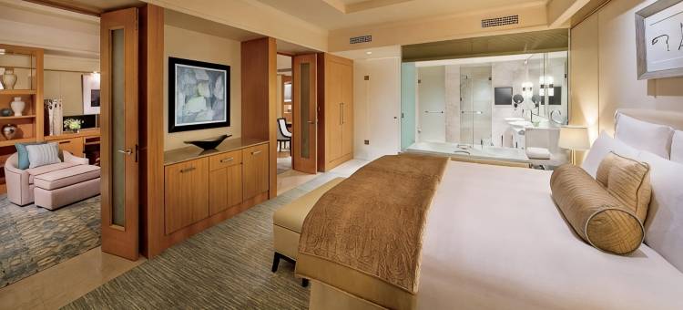 迪拜国际金融中心丽思卡尔顿酒店(The Ritz-Carlton Residences, Dubai International Financial Centre)图片