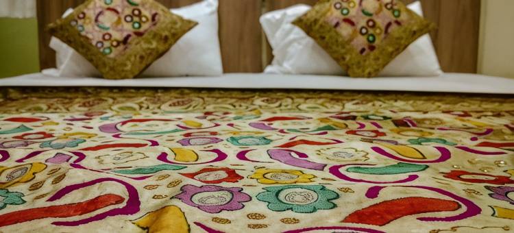 阶梯宫殿迪维迪酒店(Dwivedi Hotels Palace on Steps)图片