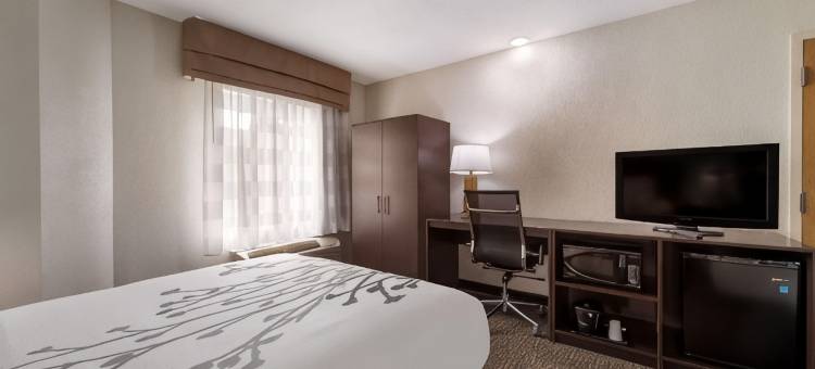 北湖舒眠酒店(Sleep Inn Northlake)图片
