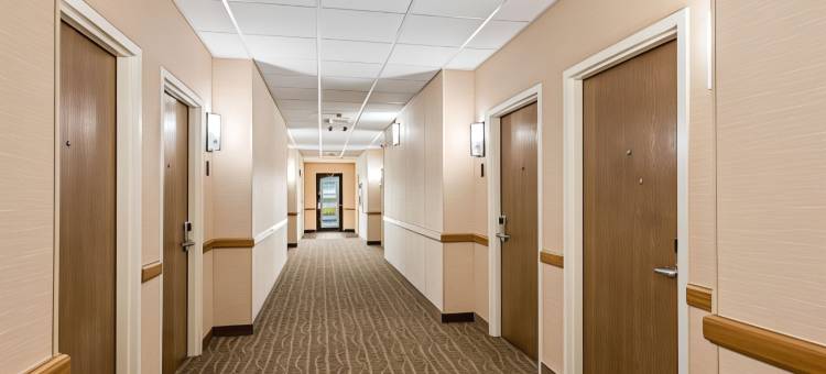 门罗舒适套房酒店(Comfort Suites Monroe)图片