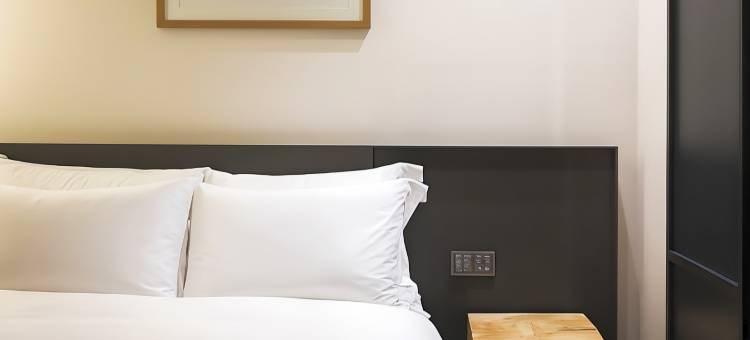 光化门新罗舒泰酒店 (明洞)(Shilla Stay Gwanghwamun (Myeongdong))图片