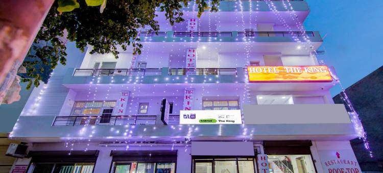 Treebo the King Mohali图片