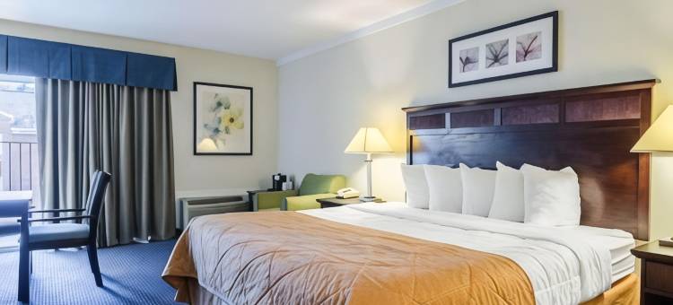 威廉斯堡中心罗德威套房酒店(Rodeway Inn & Suites Williamsburg Central)图片