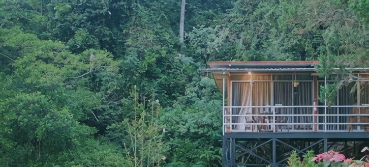 J 住宅(J Residence)图片