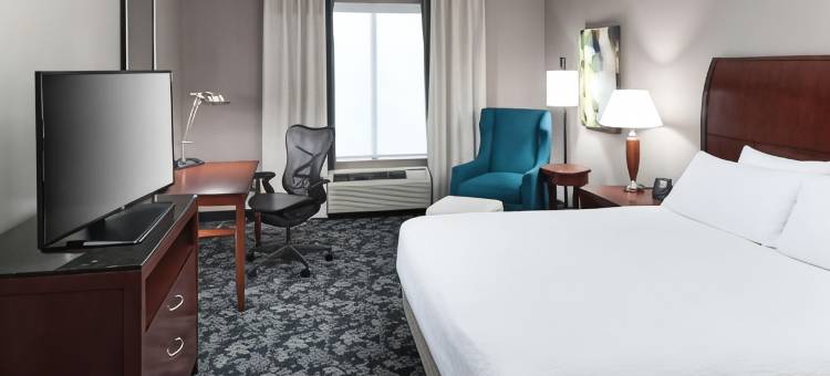 弗赖拉辛达拉斯希尔顿花园酒店(Hilton Garden Inn Dallas Frisco)图片