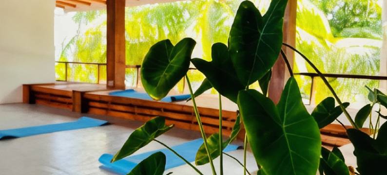 阿维拉曼塔村旅馆(Aveyla Manta Village)图片