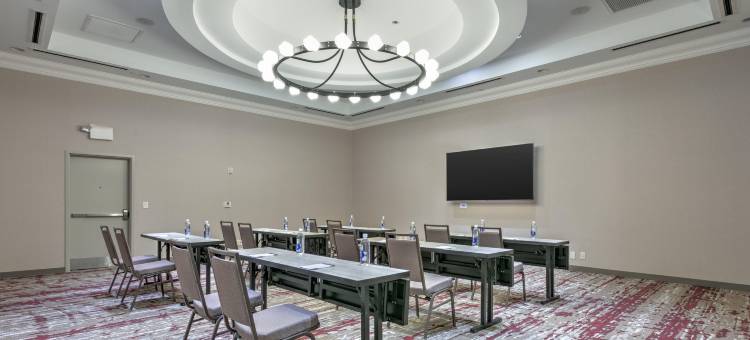 达拉斯阿林顿希尔顿花园酒店(Hilton Garden Inn Dallas/Arlington)图片