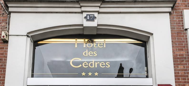 赛德赖斯酒店(Hotel des Cedres)图片