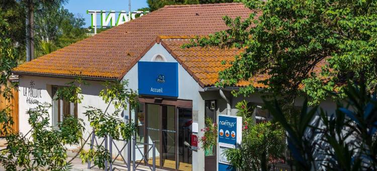 阿尔斯的Noemys(Noemys Arles)图片