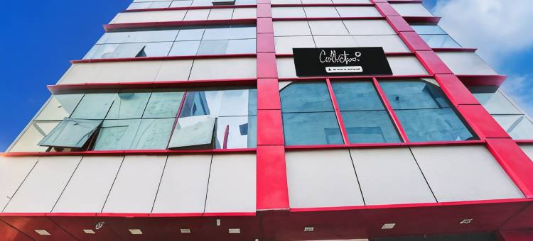 Collection O Mahipalpur Near Airport Formerly Jindal Palace图片