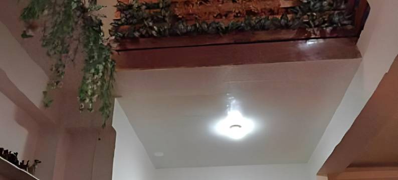 邦劳岛希望旅馆(Hope Inn)图片