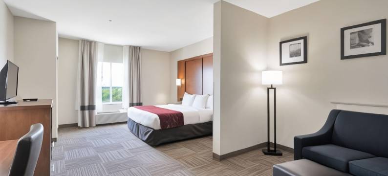 大学城舒适套房酒店(Comfort Suites University)图片