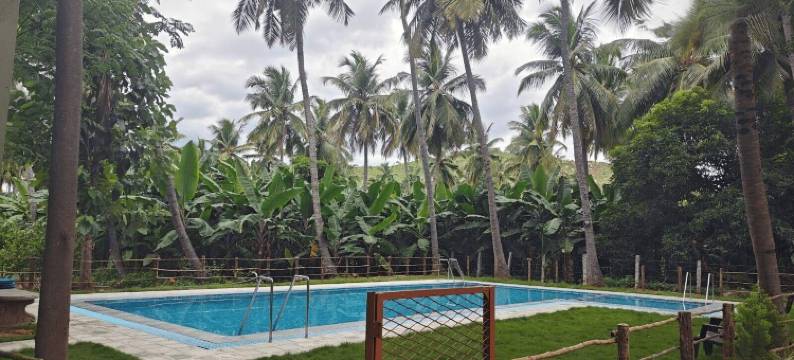 TRK农场文敏度假村(Trk Farms, Vinmeen Retreat)图片