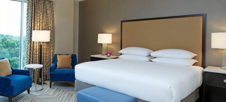 凯悦酒店亚特兰大周边克里斯蒂娜别墅(Hyatt Regency Atlanta Perimeter Villa Christina)图片