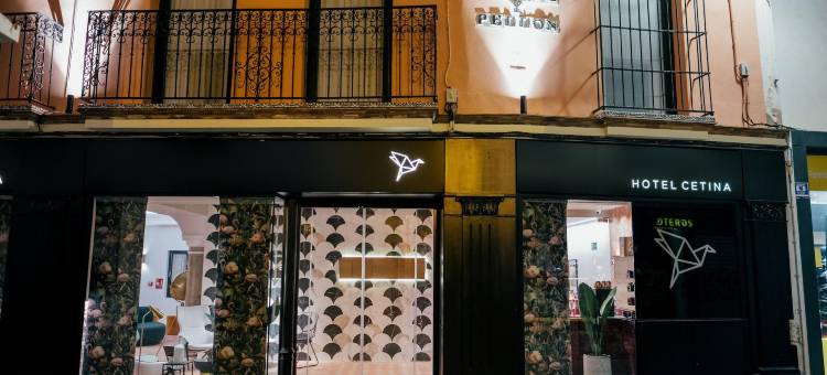 塞维利亚塞蒂纳纺织之家酒店(Hotel Cetina Casa de las Telas Sevilla)图片