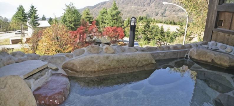 藏王亚斯托里亚酒店(Zao Astraea Hotel)图片