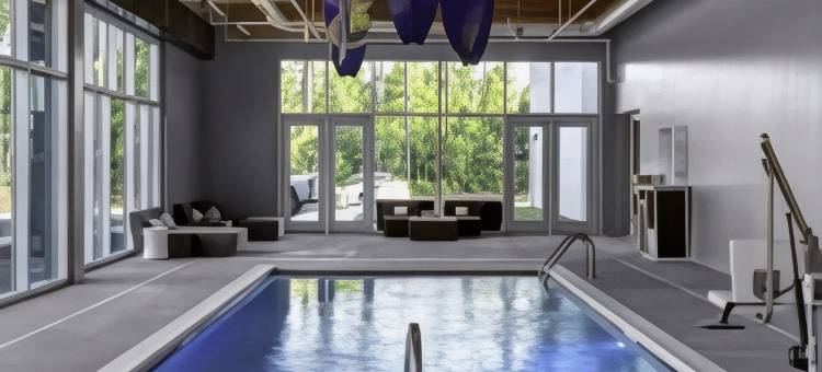 罗利-达勒姆机场布里尔溪雅乐轩酒店(Aloft Raleigh-Durham Airport Brier Creek)图片