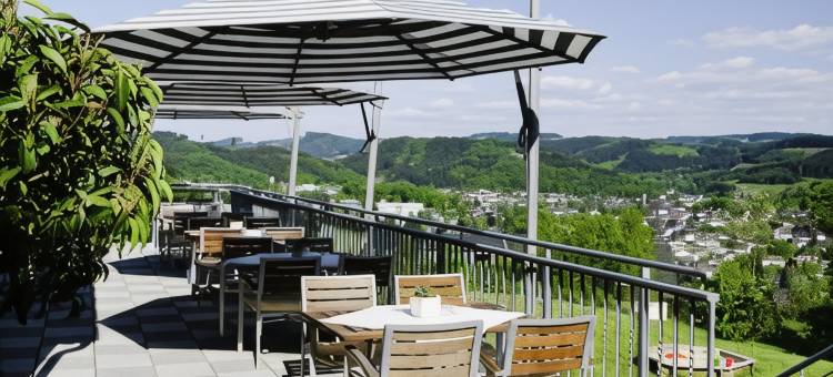 菲尼克斯酒店(Phönix Hotel)图片