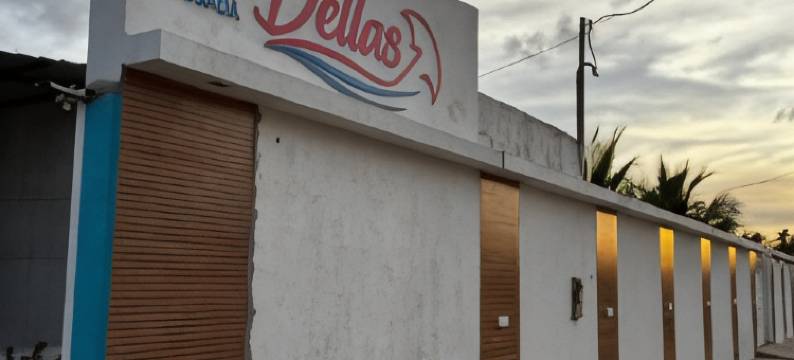 戴拉斯旅馆(Dellas Pousada)图片