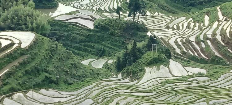 拾光贰号民宿(云和梯田七星墩观景台店)图片
