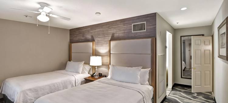 温莎洛克斯哈特福德Homewood Suites by Hilton(Homewood Suites by Hilton Windsor Locks Hartford)图片