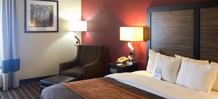 埃德蒙佩图斯桥区凯艺酒店(Quality Inn Edmund Pettus Bridge Area)图片