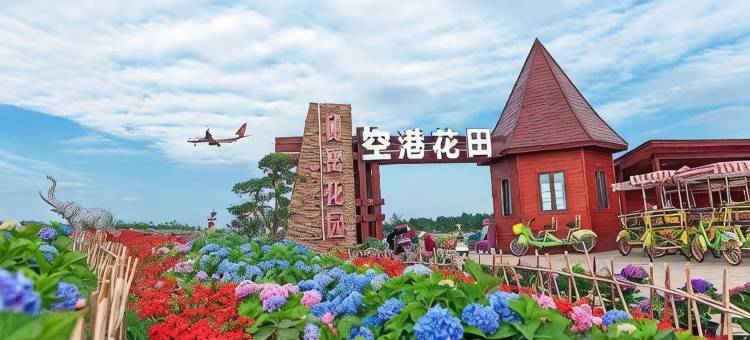 艾家酒店(成都双流国际机场店)图片