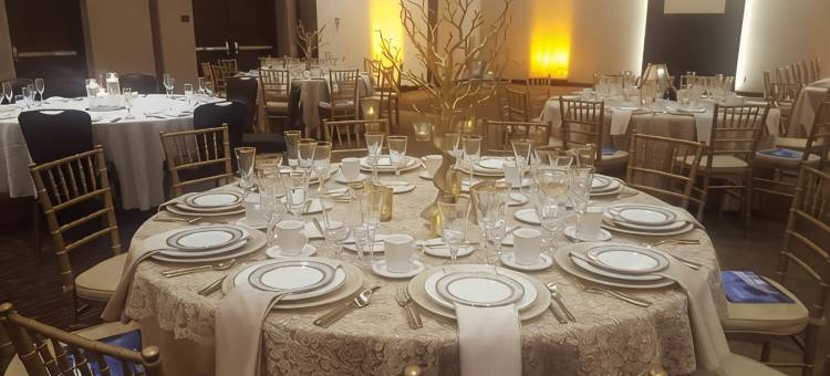 明尼阿波利斯市中心喜来登会议中心酒店(Sheraton Minneapolis Downtown Convention Center)图片
