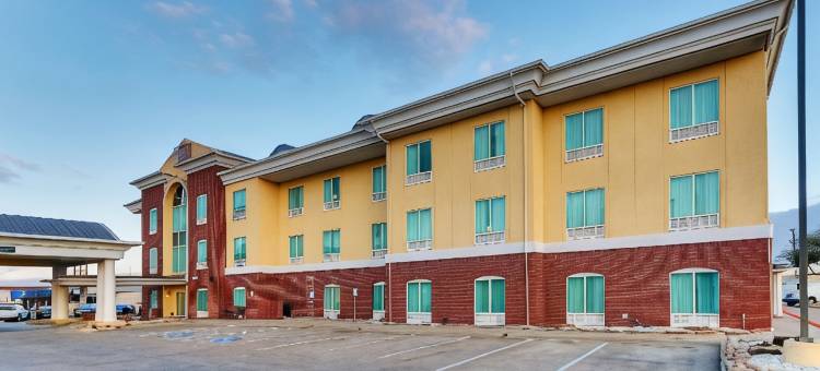 舒适酒店及套房(Comfort Inn & Suites)图片