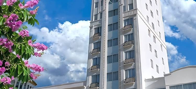 城湾皇宫酒店(City Bay Palace Hotel)图片