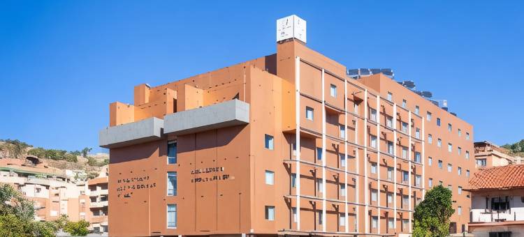 马西亚阿尔罕布拉皇宫酒店(Hotel Macià Real de La Alhambra)图片