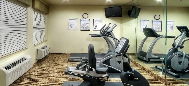 佩科斯希尔顿Spark酒店(Spark by Hilton Pecos)图片