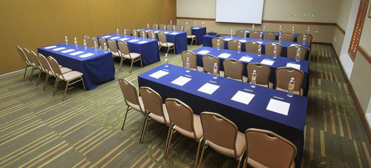 蒙克洛瓦假日酒店(Holiday Inn MONCLOVA by IHG)图片