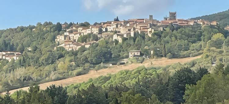 乡村农家乐(Agriturismo in Campagna)图片