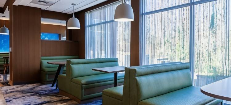 万枫酒店及套房里士满米德洛锡安(Fairfield Inn & Suites Richmond Midlothian)图片