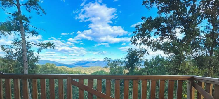 Glamping VALL de CODÓ酒店露营(Glamping Vall de CODÓ)图片