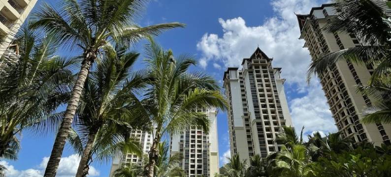 见素抱朴客栈图片