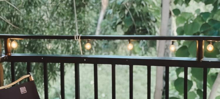 莫阿尔博阿皮格潜水青年旅馆(Pig Dive Hostel Moalboal)图片