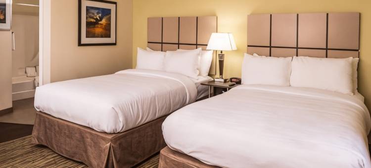 Candlewood Suites 堪萨斯城(Candlewood Suites Kansas City Speedway)图片